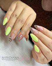 Color Gel Polish Series A, B, C, D,  J, L, N, R